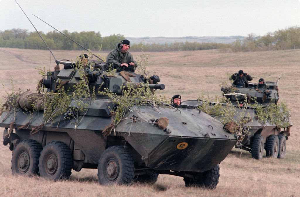 Two Cougar AVGP Two Cougar AVGP in a field with some trees in the back