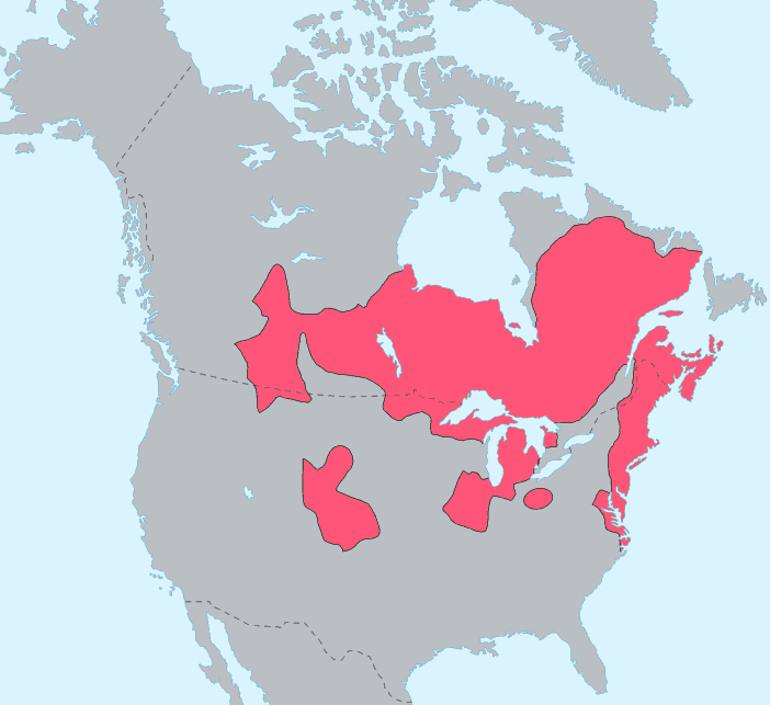 Algonquian Languages