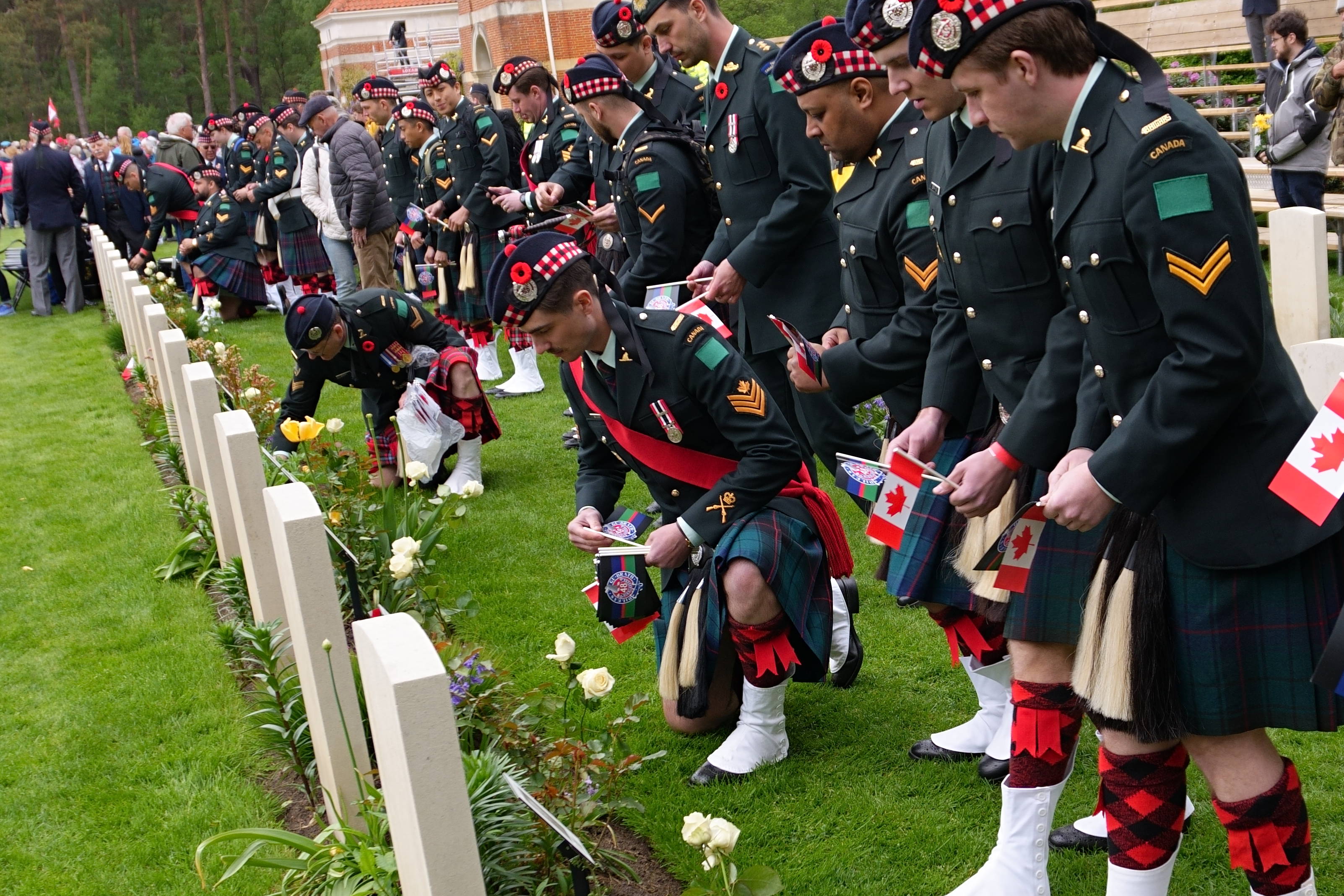 80th Anniversary of Liberation 80th Anniversary of Liberation