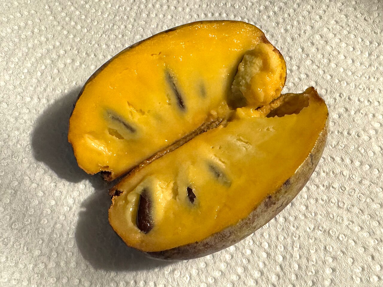 Asiminier