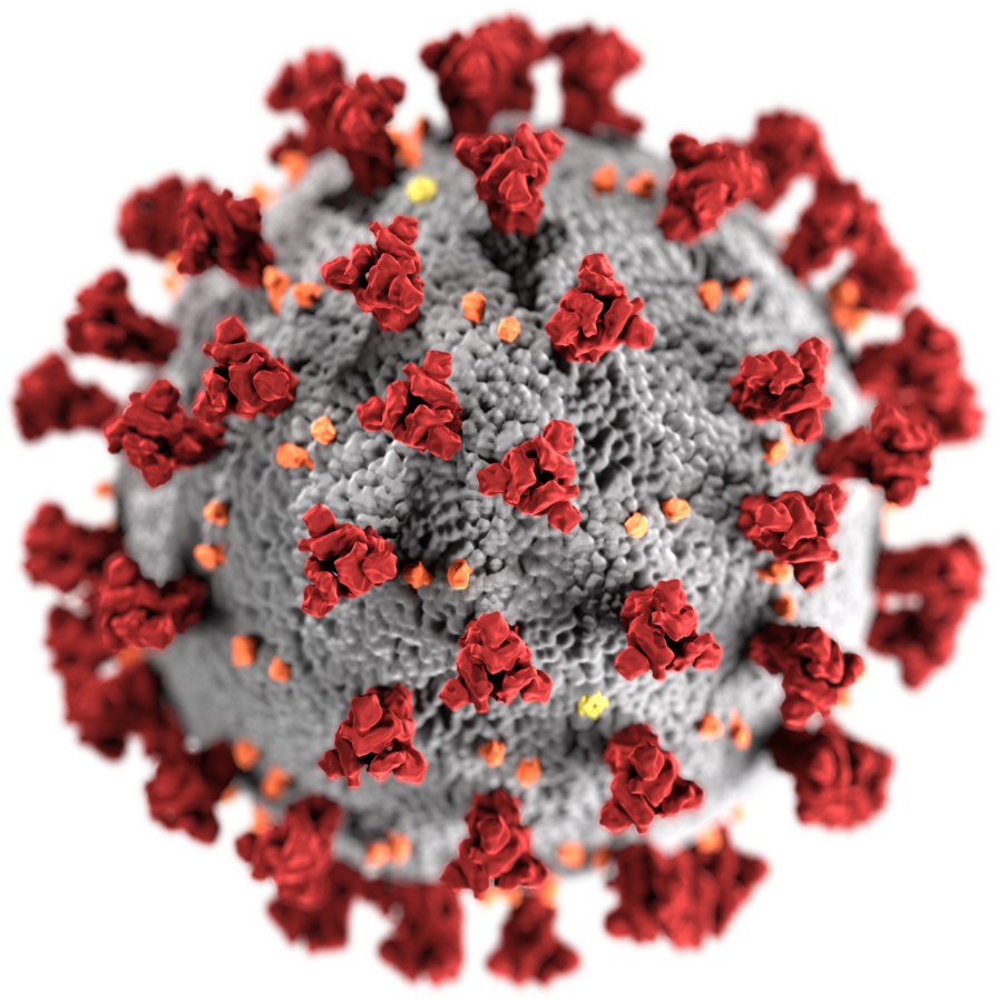 COVID-19 Pandemic in Canada (Plain-Language Summary)