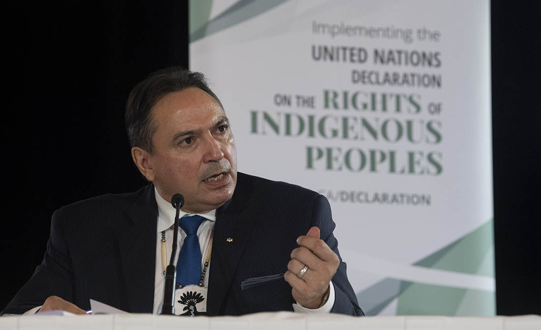 Le chef national Perry Bellegarde parle de la Déclaration des Nations Unies sur les droits des peuples autochtones Le chef national Perry Bellegarde parle de la Déclaration des Nations Unies sur les droits des peuples autochtones