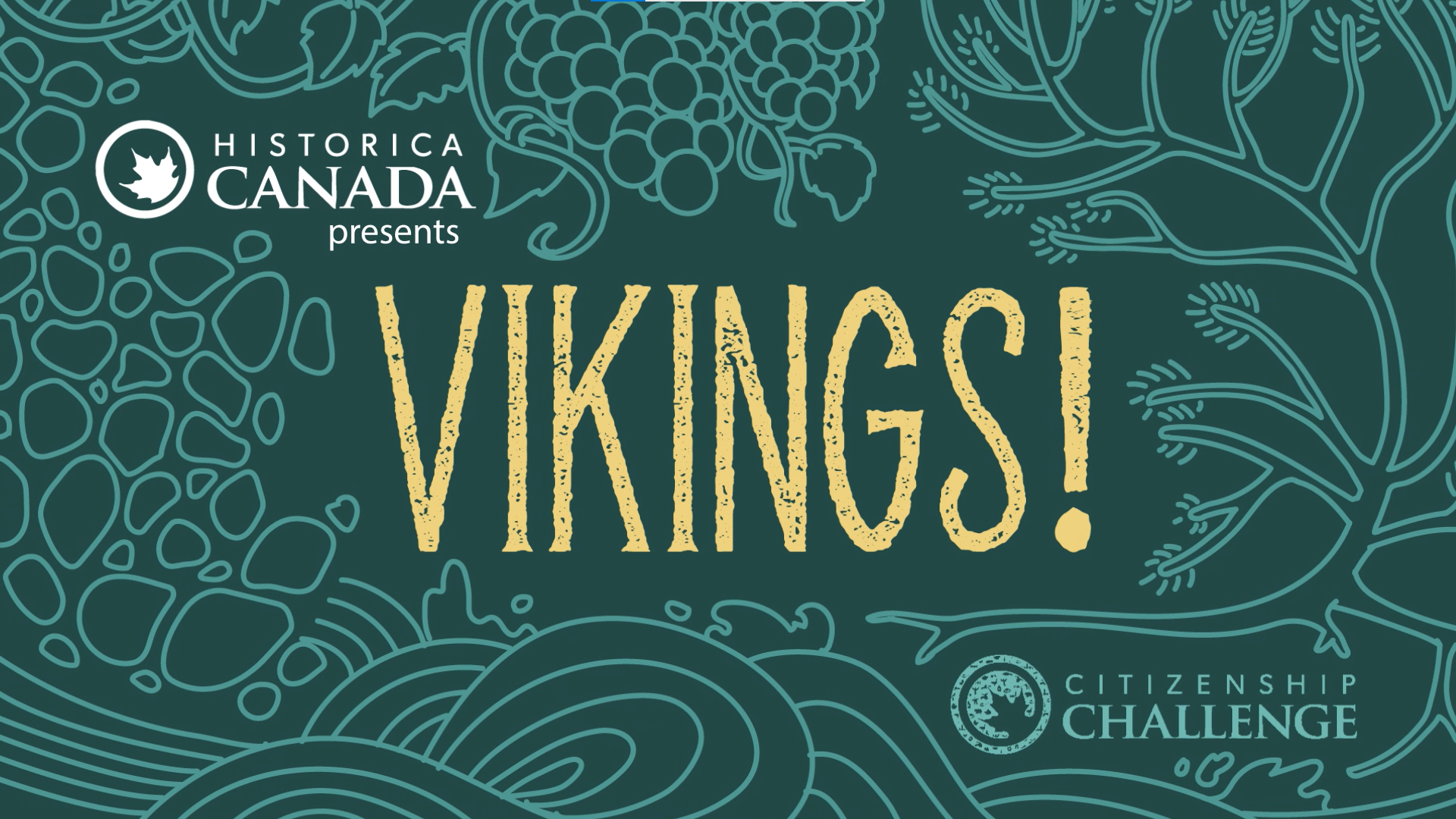 Les Vikings