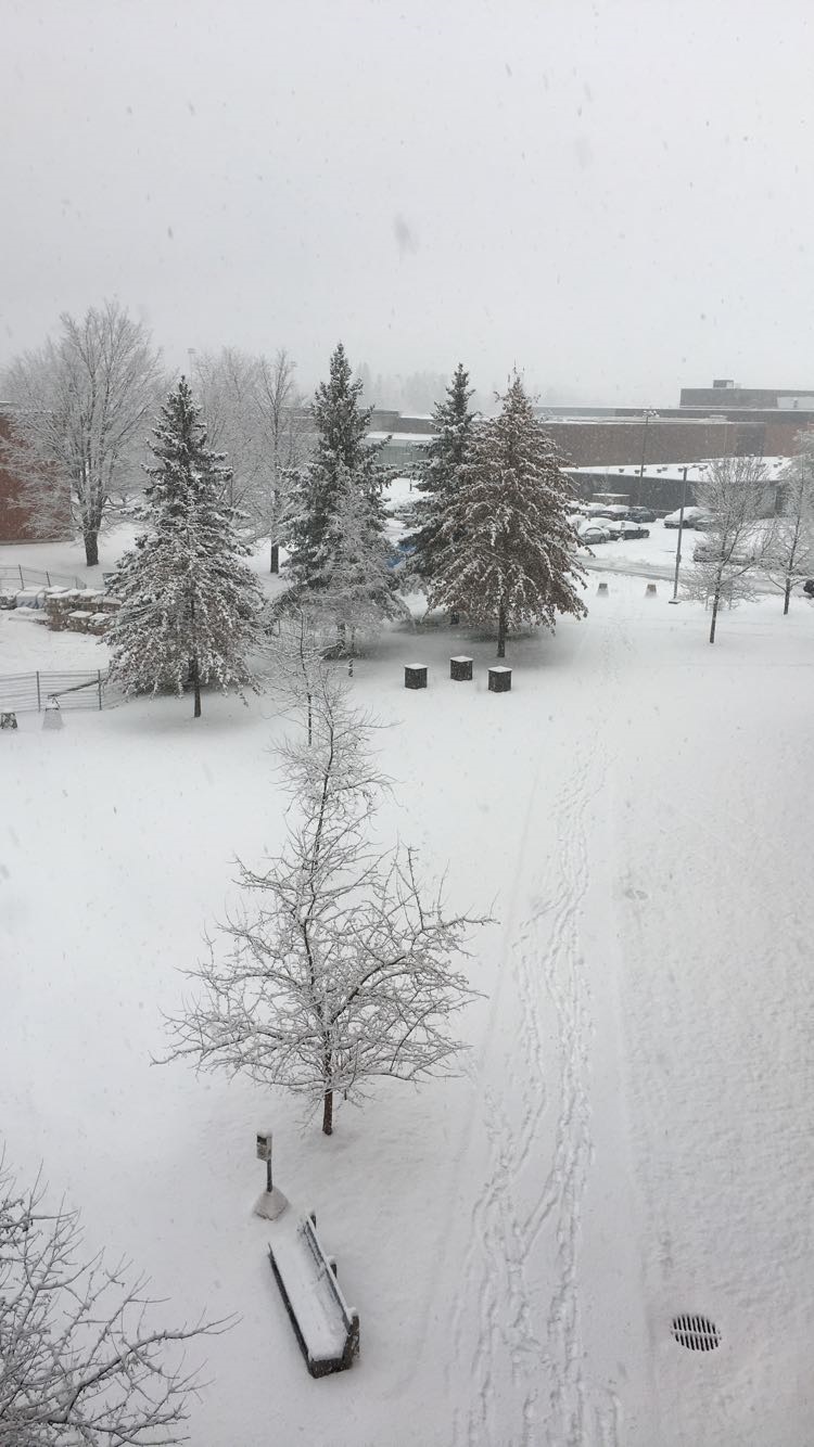 Bishop's University Snowy campus.