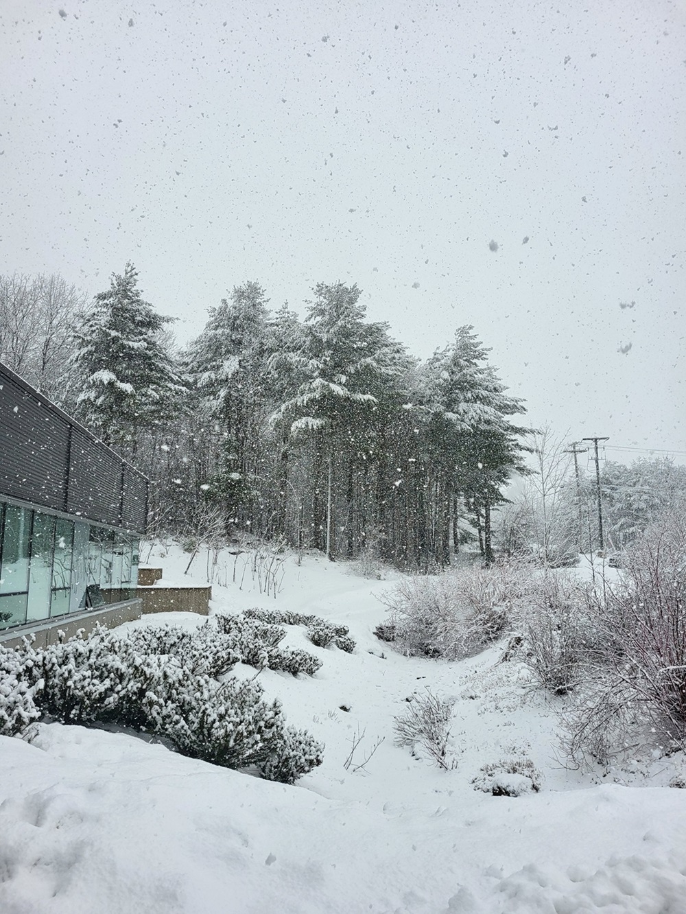 Neige devant un bâtiment vitré