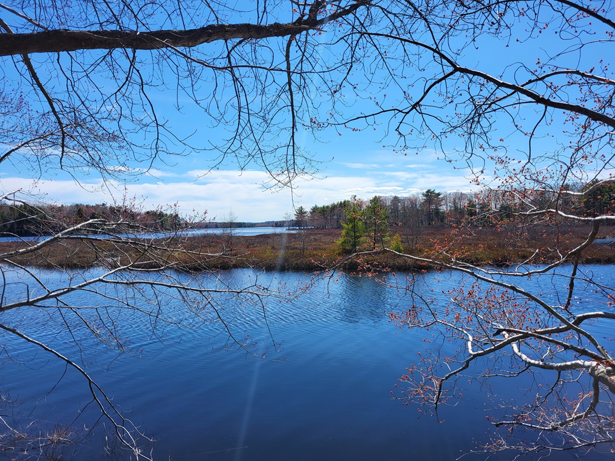 Vue du lac depuis la rive
