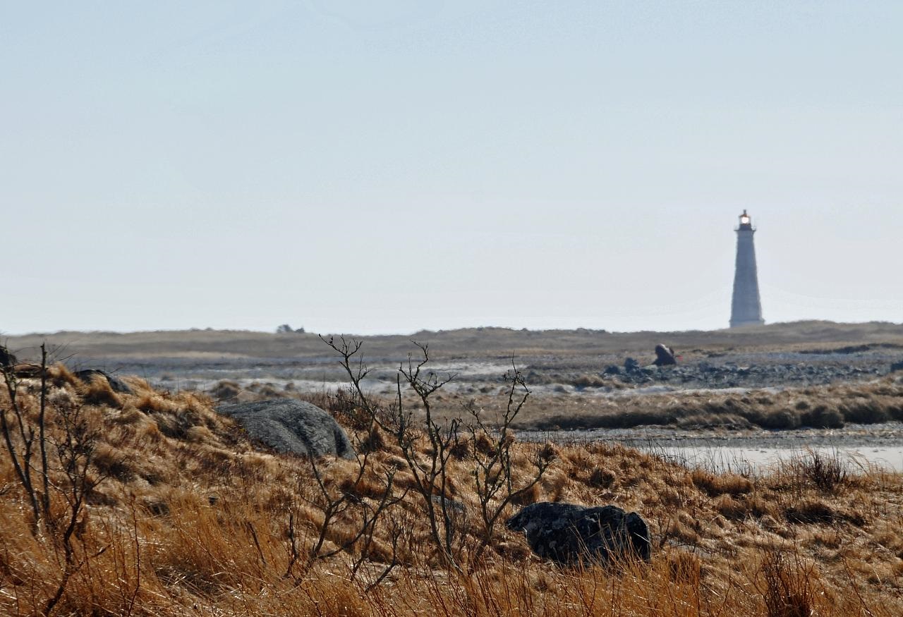 Cape Sable Lighthouse Lighthouse on shrubby land.