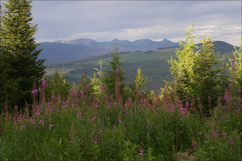 Chaîne Cariboo