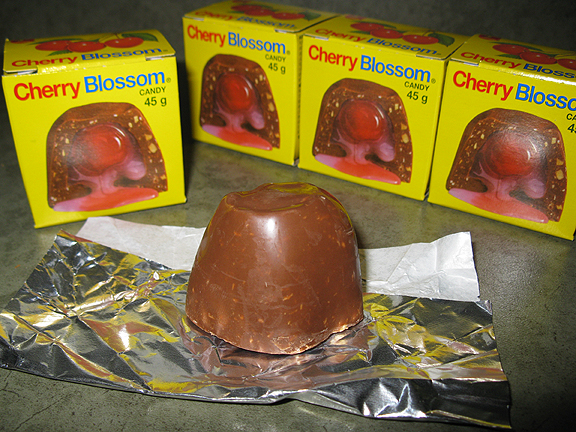 Une Cherry Blossom entourée de boites