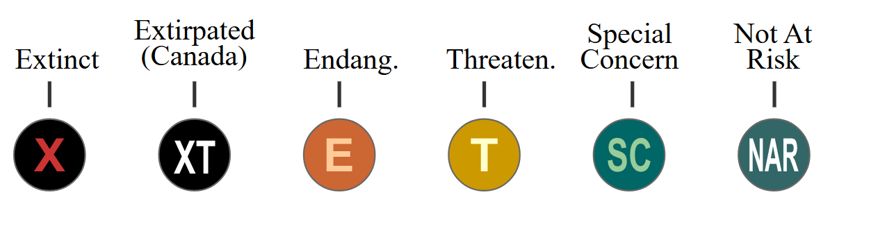 COSEWIC Categories of Risk Diagram showing the various categories of risk.