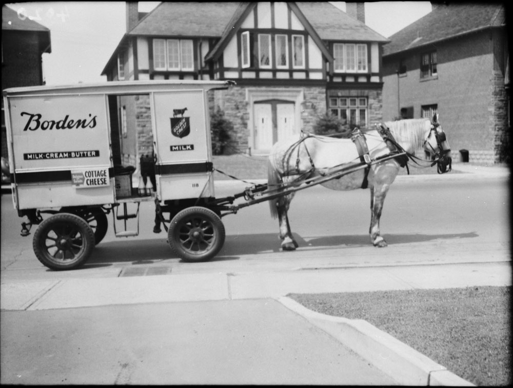 Delivery Wagon Delivery Wagon for Borden’s Milk