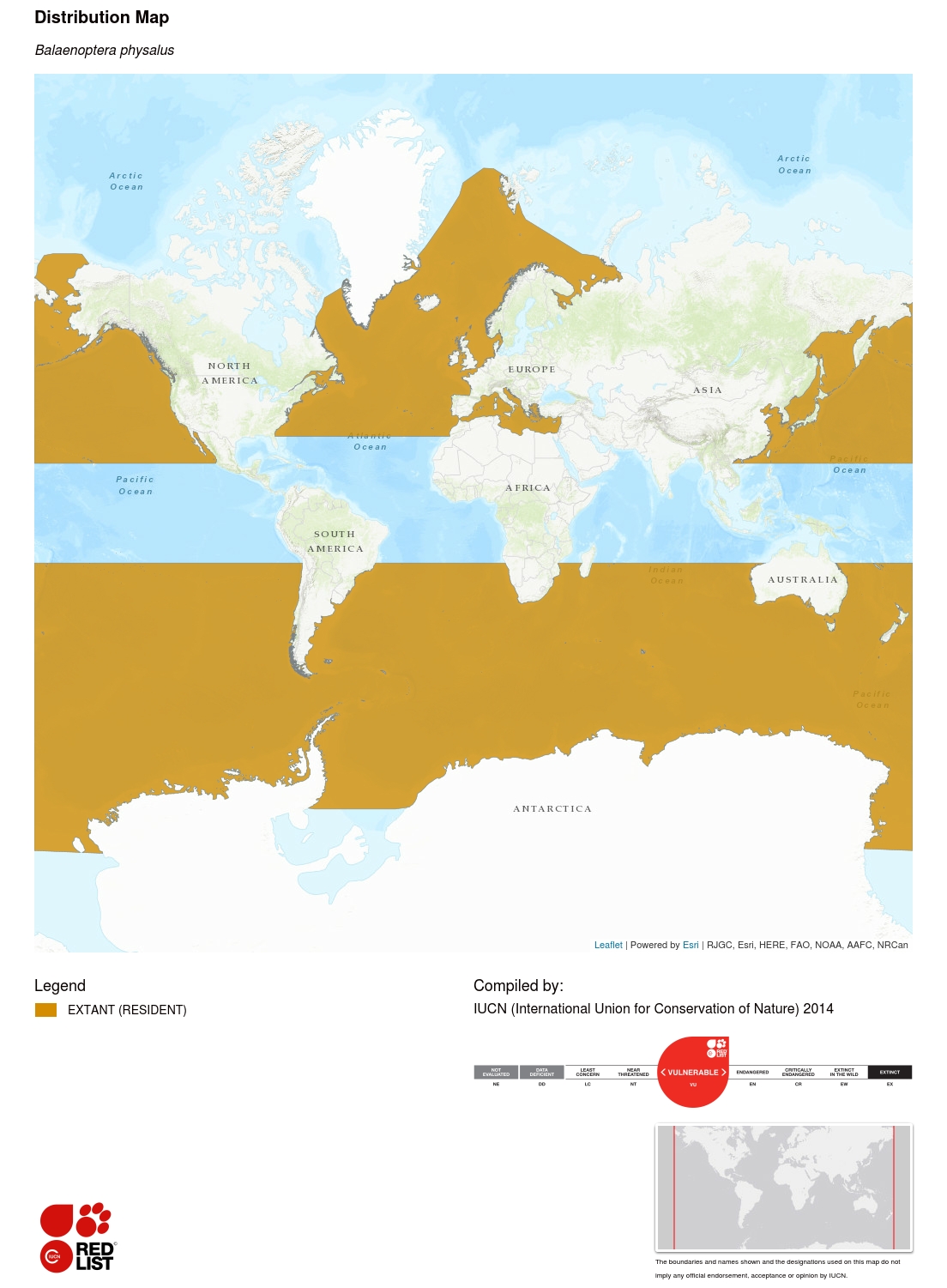 Fin whale distribution map.