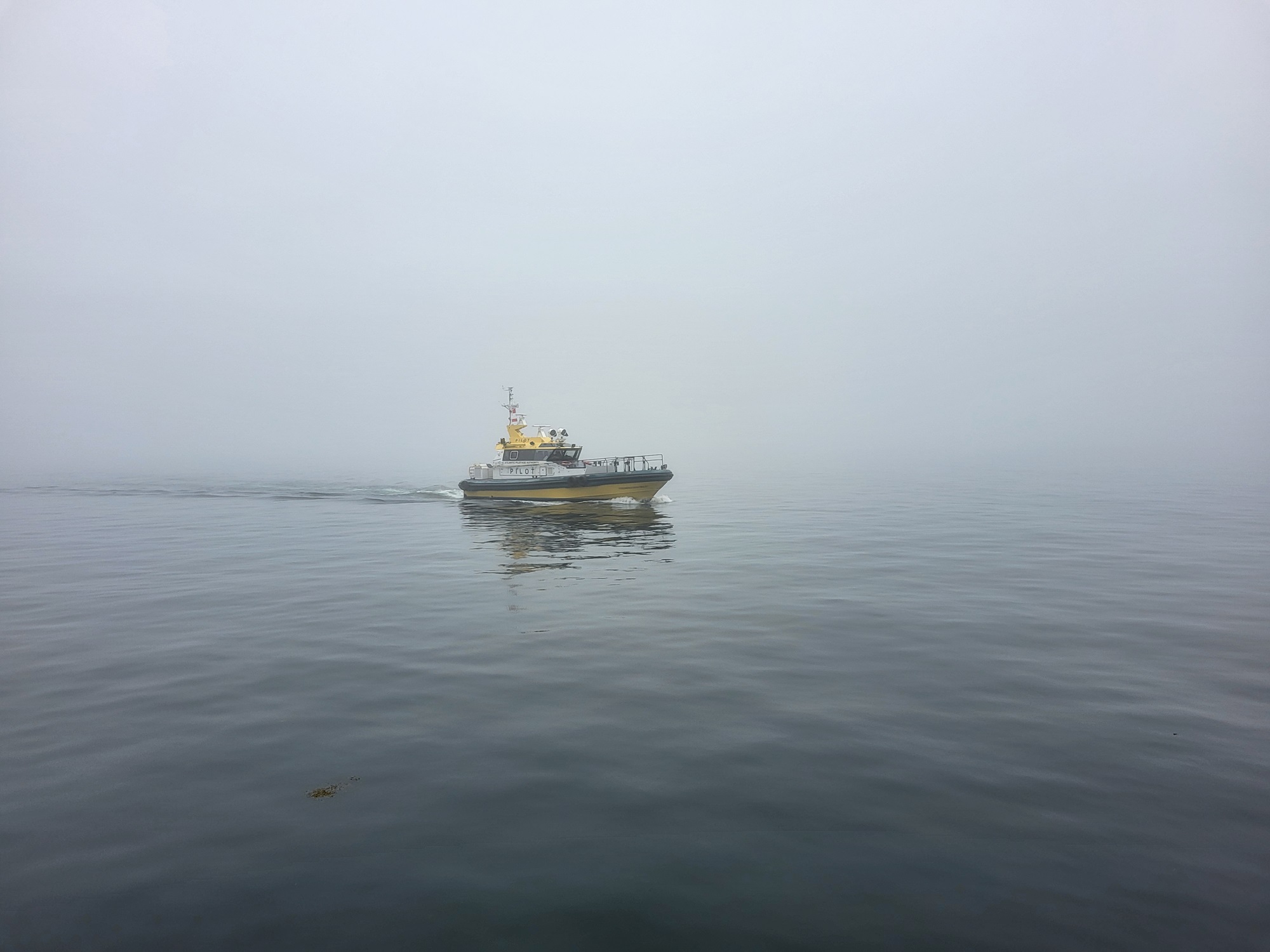 Brouillard