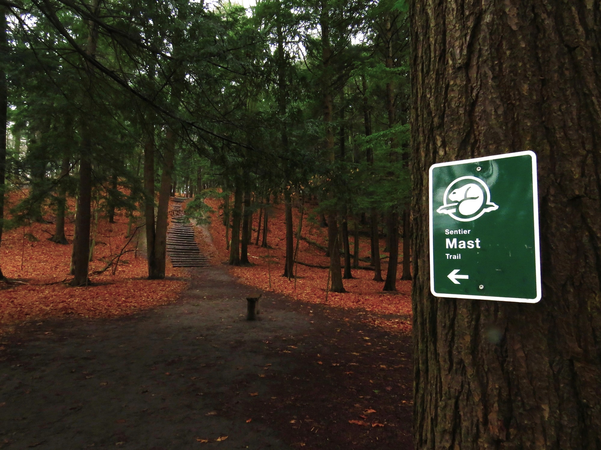Mast Trail Sign Thousands of kilometres of lakes, marked trails and bicycle routes run through the Greenbelt.