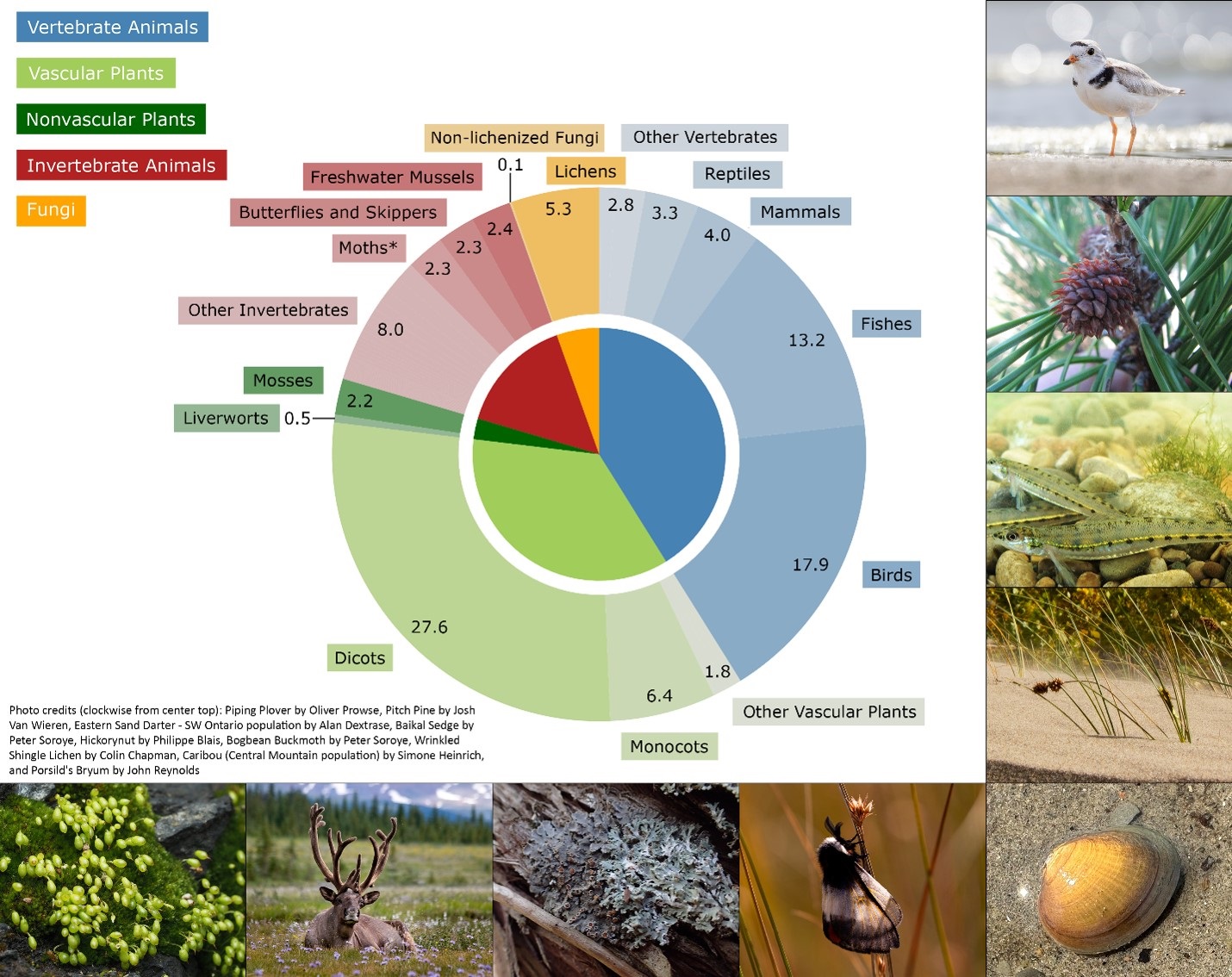 Species that Meet KBA Criteria in Canada Pie chart showing a breakdown of the species that meet KBA Criteria in Canada by broad taxon.