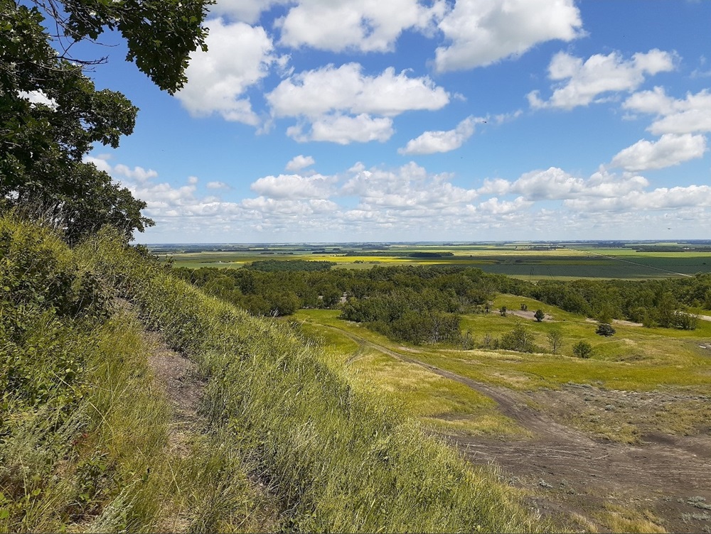 Pembina Hills Landscape