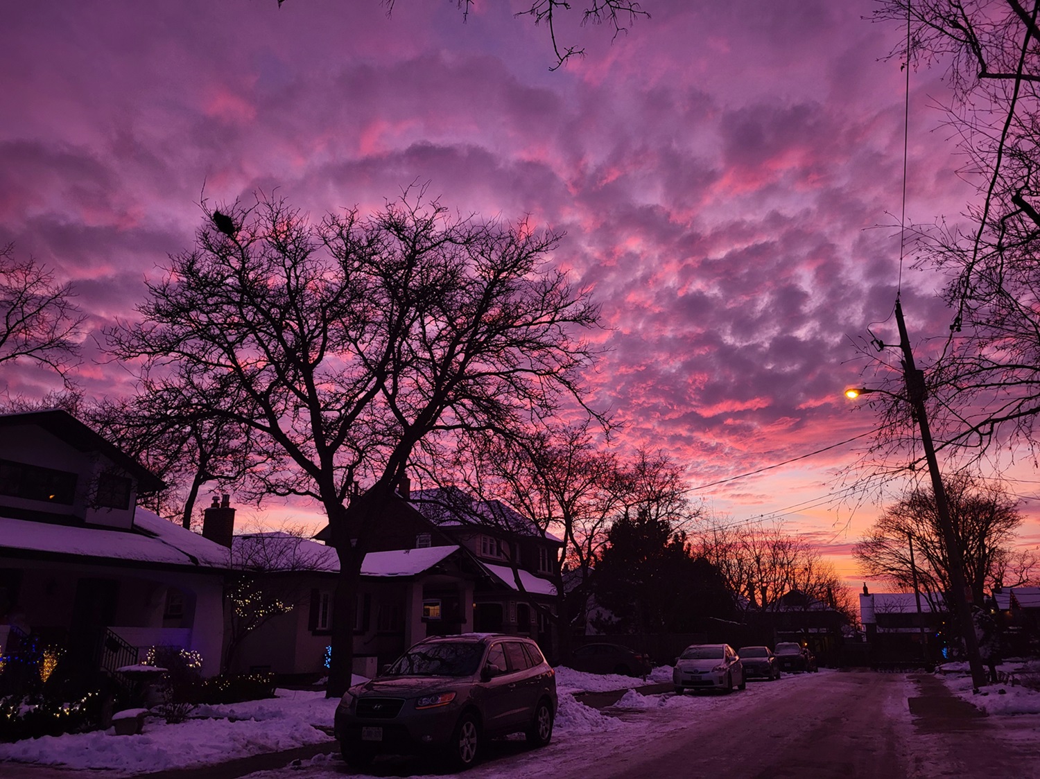 Ciel au-dessus de Toronto Coucher de soleil rose-violet flétri.