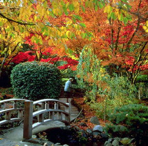 Japanese Garden