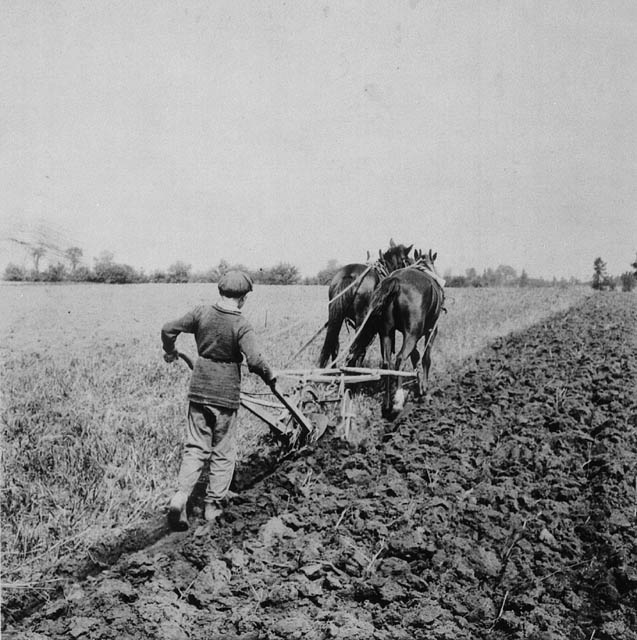 Petits immigrés britanniques