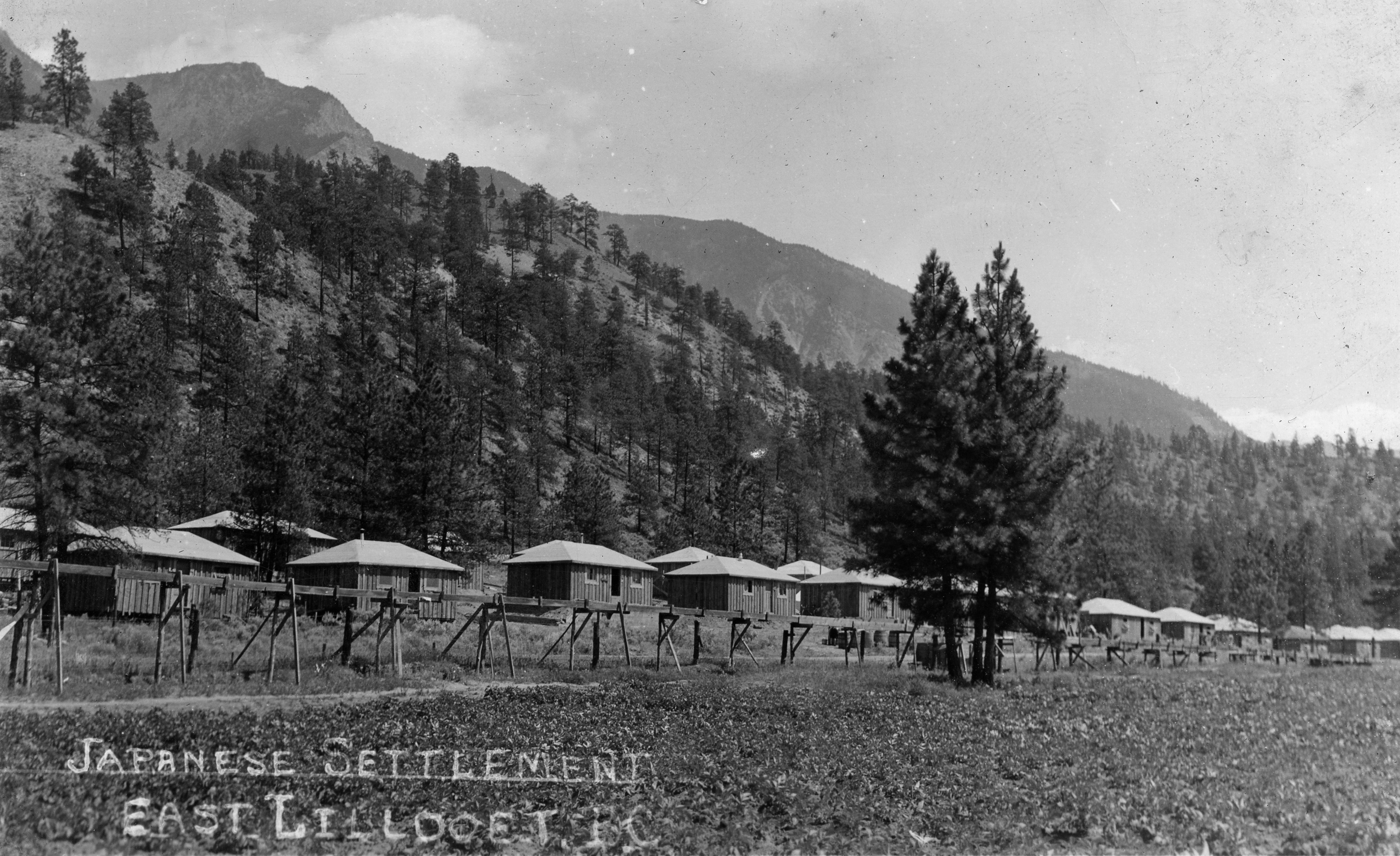 Camp japonais à East Lillooet, en Colombie Britannique