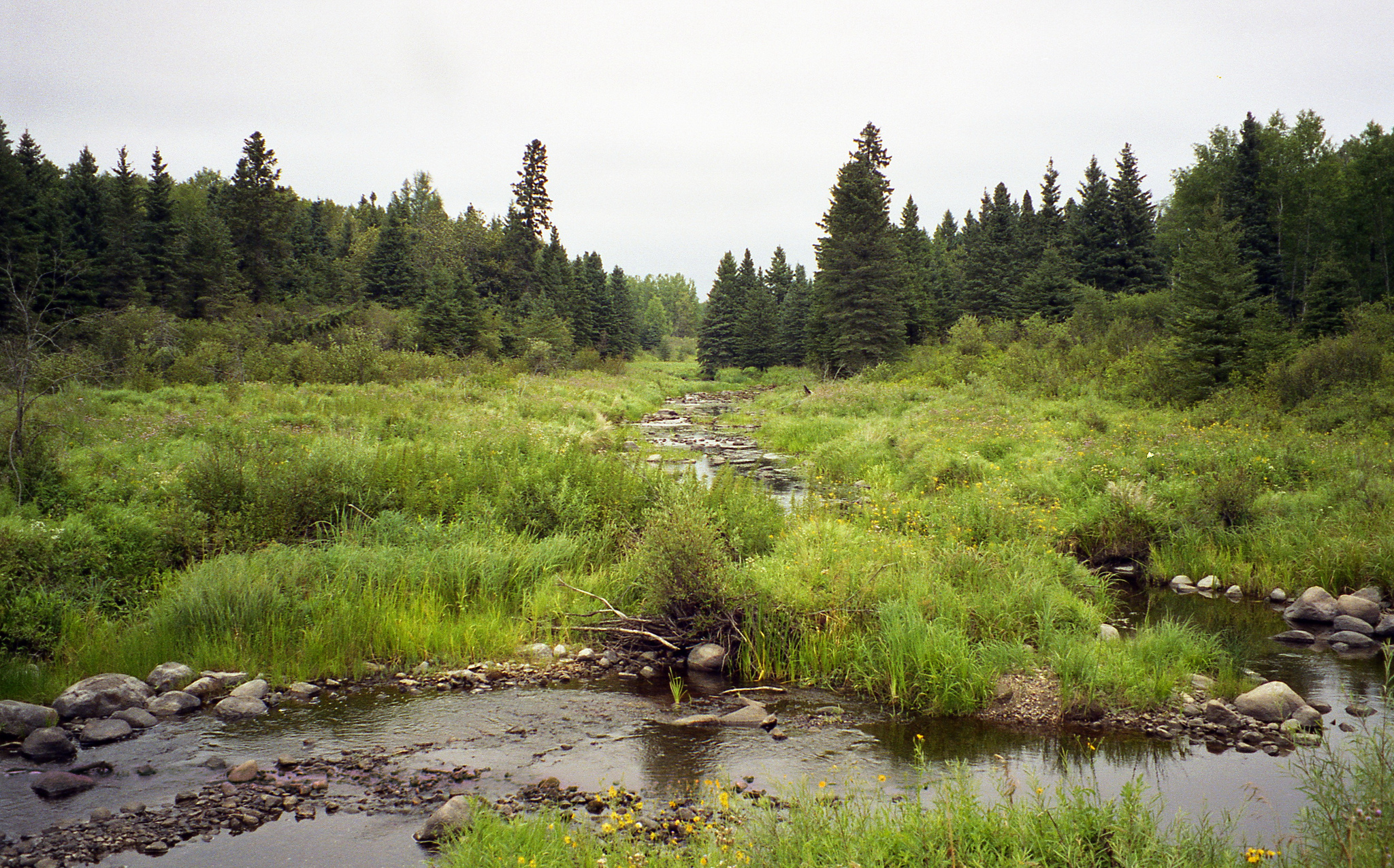 Parc national du Mont-Riding au Manitoba