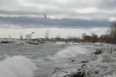 Shoreline in Winter