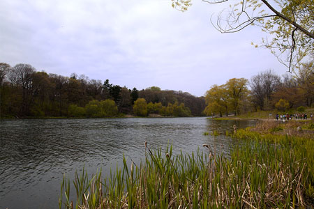 Grenadier Pond, 2012