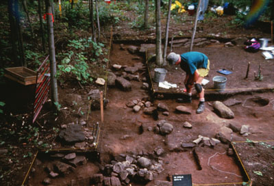 McDonald Site