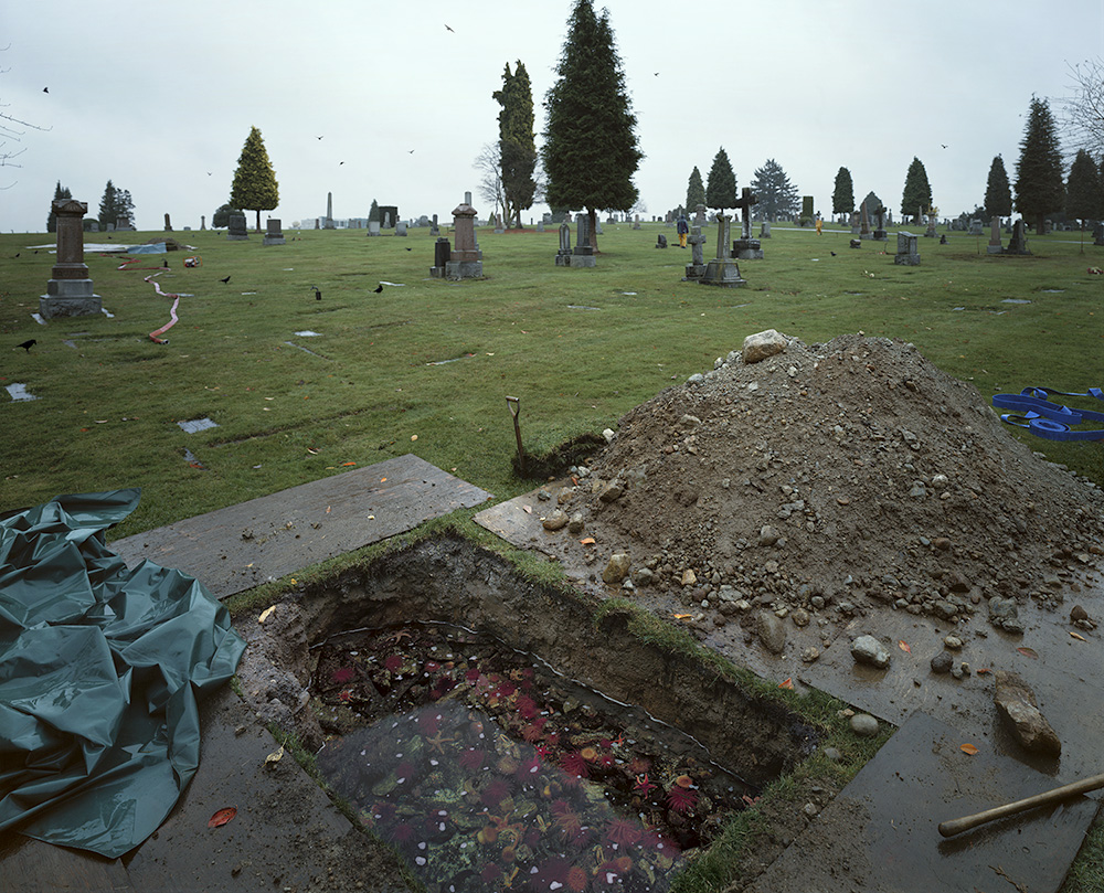 The Flooded Grave (1998-2000