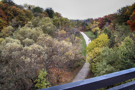 Cedarvale Ravine