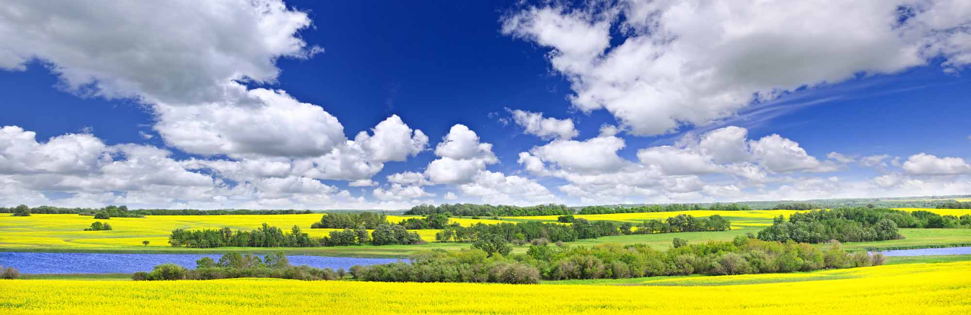 Prairie Panorama