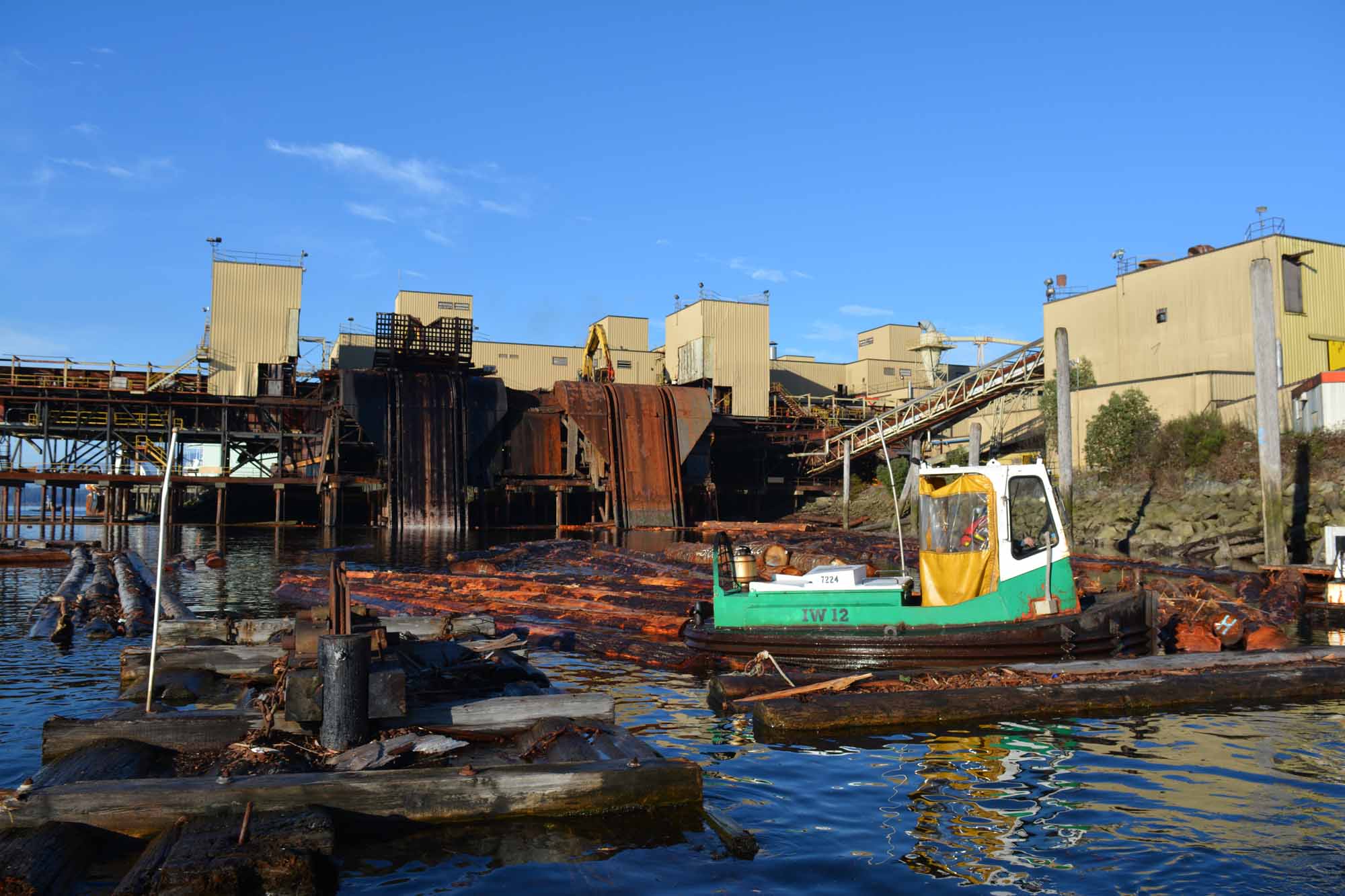 Logging in Port Alberni