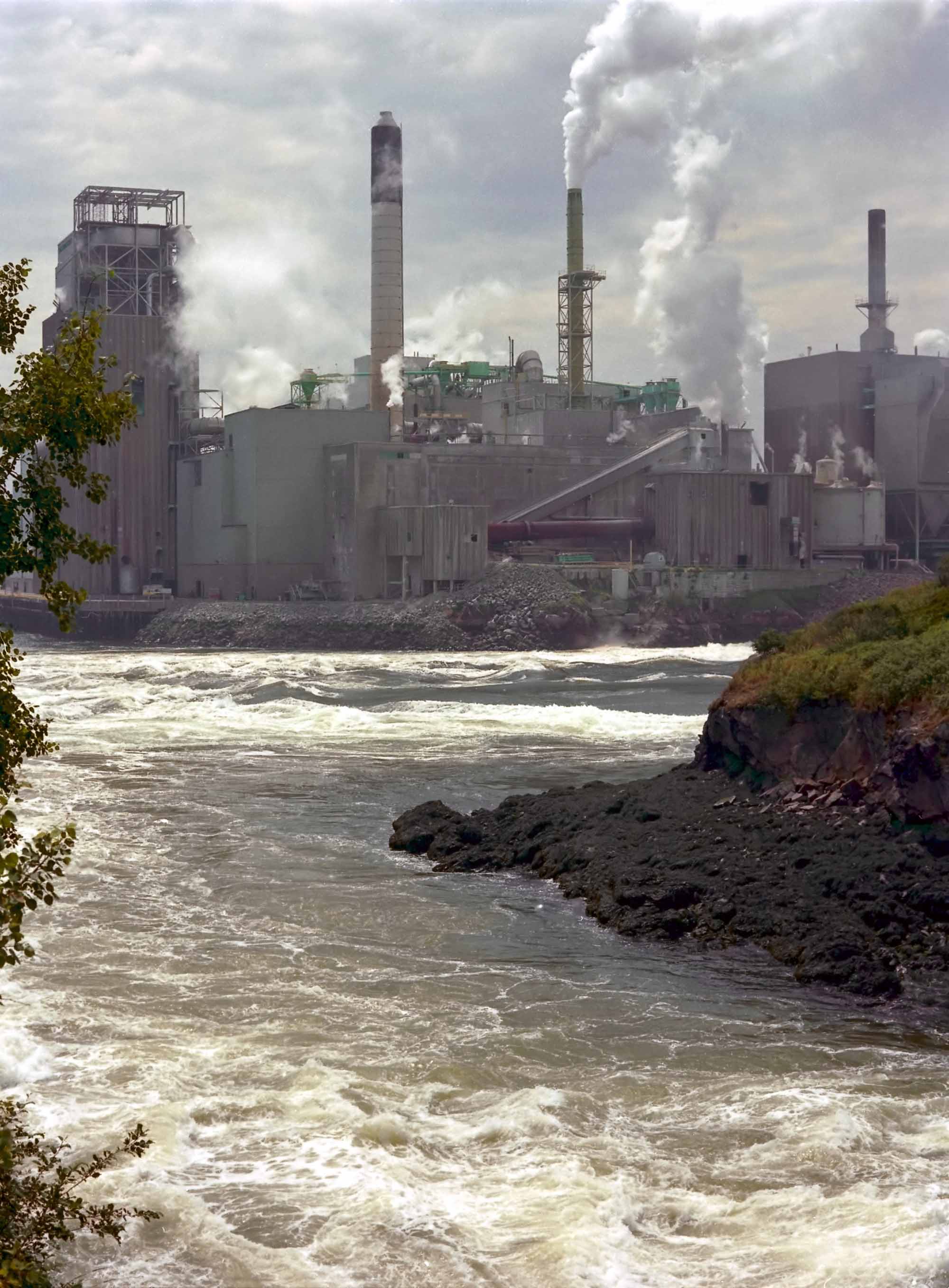 Factory in St. John's