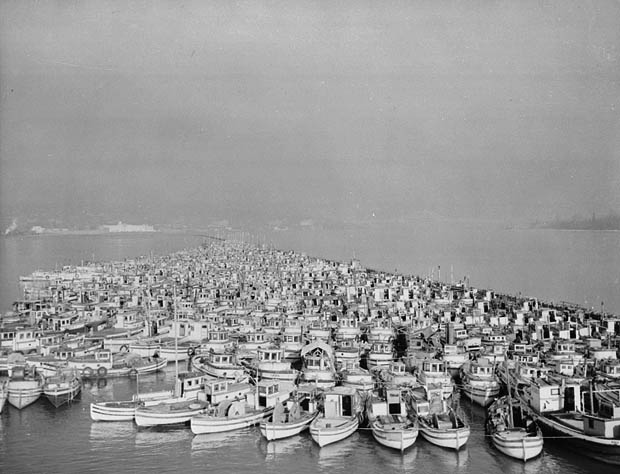 Japanese-Canadian fishing vessels in Steveston, BC