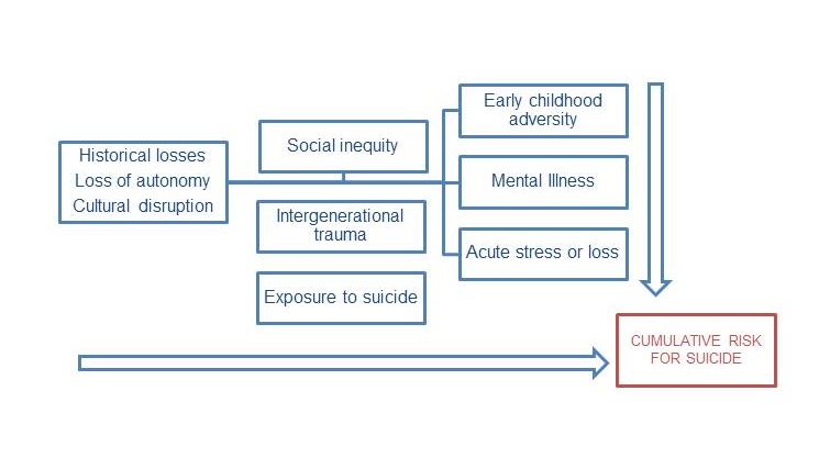 Suicide Risk Factors Suicide Risk Factors