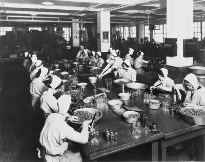 Women in the Labour Force