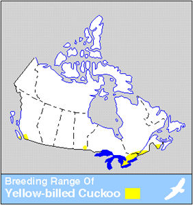 Yellow-billed Cuckoo Distribution