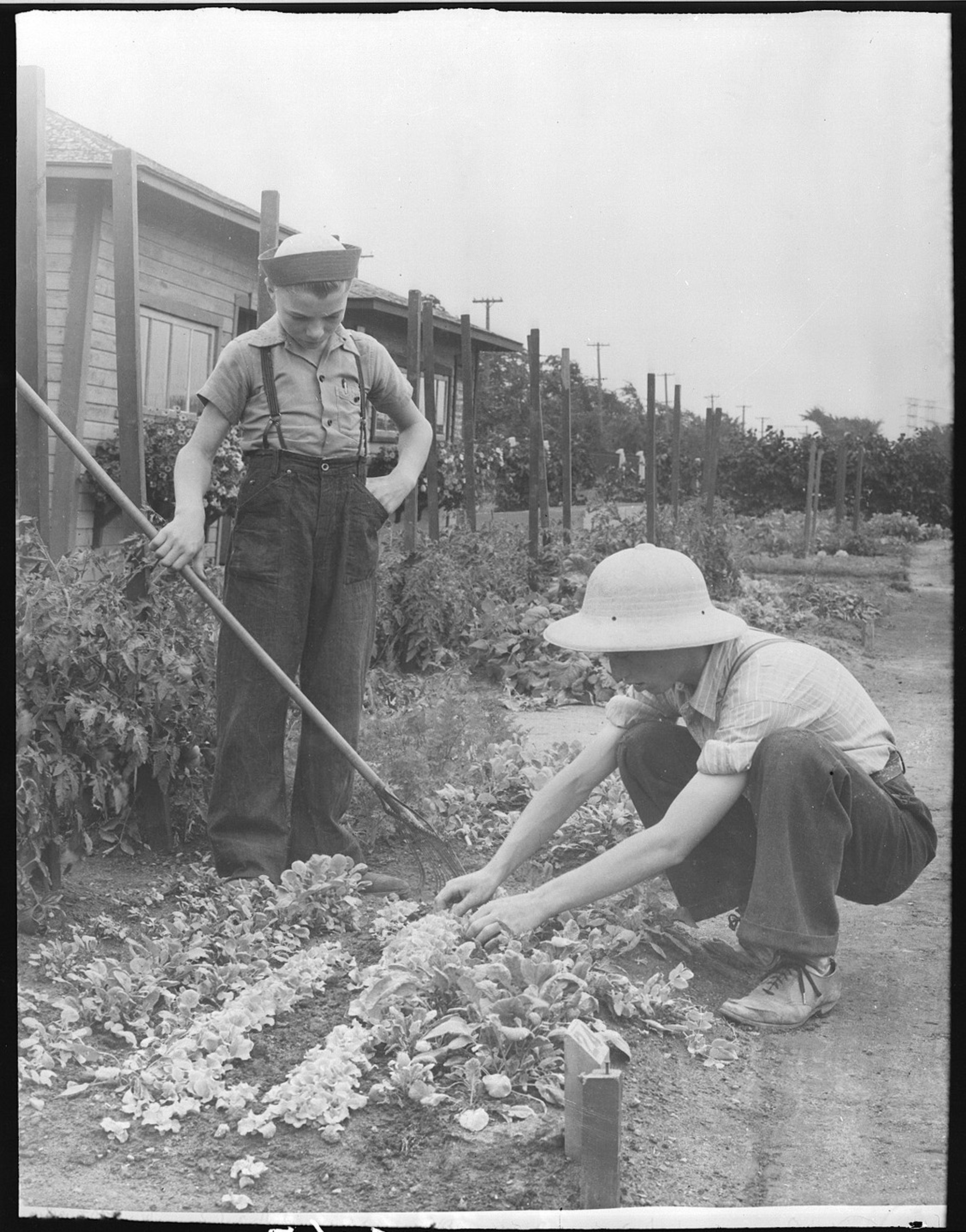 Children in the Victory Garden - Montréal