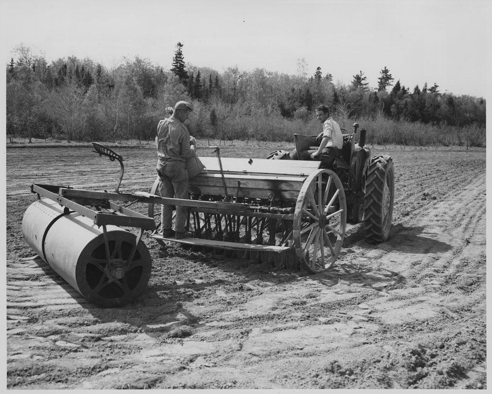 Belgians in Québec