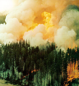 Forest Fires in Canada