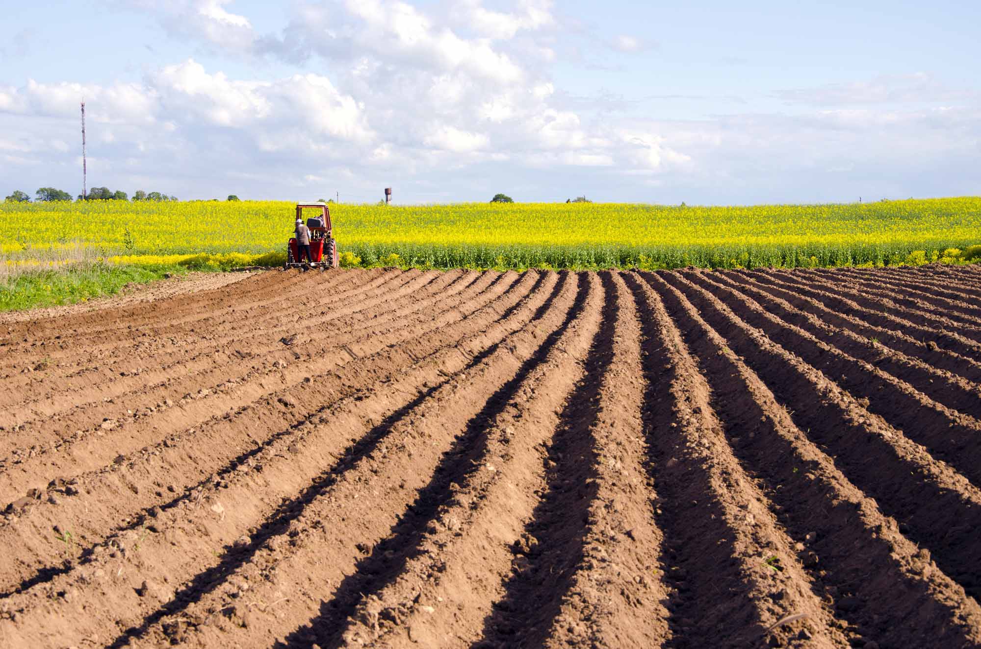 Champ de printemps avec travail du sol et tracteur