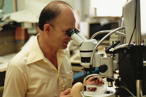Dr. Joseph Nelson