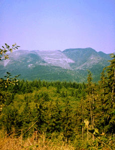 Coupe à blanc