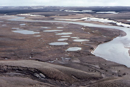 tundra landform