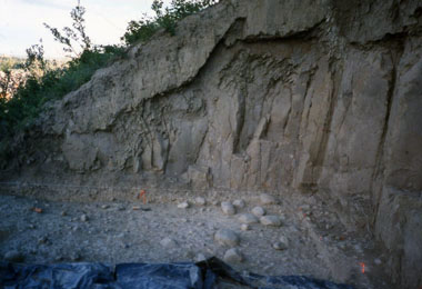 Varsity Estates Archaeological Site