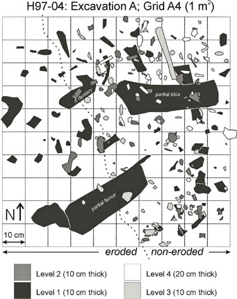 Part of the Bonebed Map