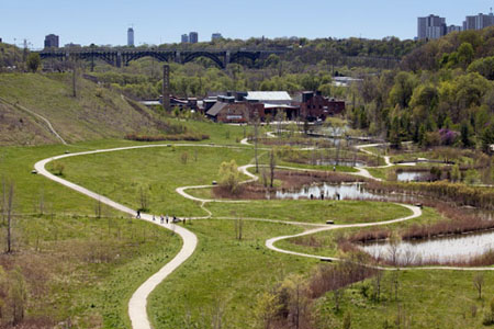 From Excavation to Preserve