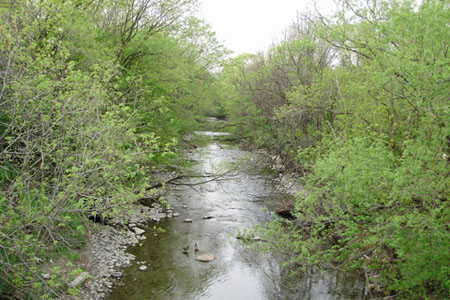 Mimico Creek