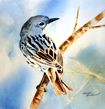 Kirtland's Warbler