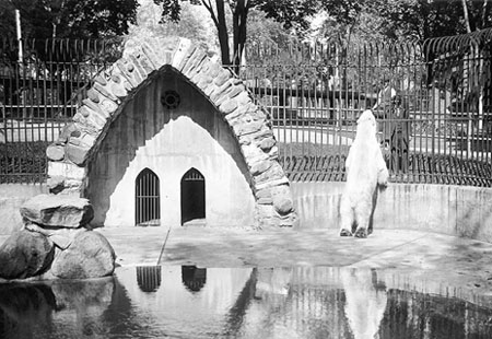 Riverdale Zoo